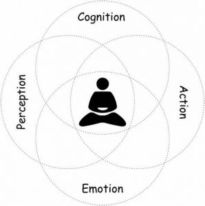 meilleure-top-psychotherapie-brainspotting-NTCV-EMDR-formation-psychotherapie