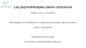 Psychothérapie pleine conscience à Paris avec Dr Christian Zaczyk